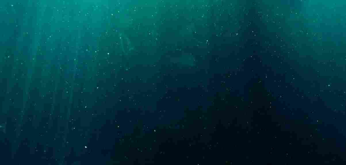 onderwatercamera mysterie 